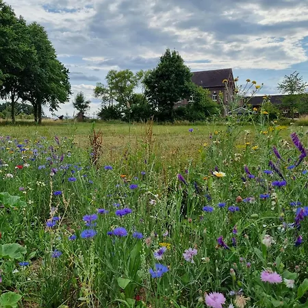 Wiesenblick Im Gutshaus - *