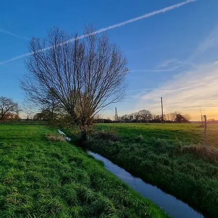 Wiesenblick Im Gutshaus - Lejlighed
