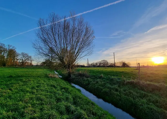 Wiesenblick Im Gutshaus - Apartment